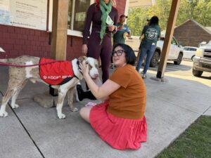 Adoptable Duke (12)