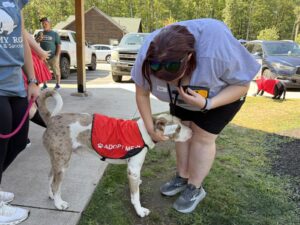 Adoptable Duke (3)
