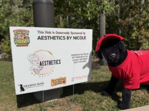 Sponsor Sign Aesthetics by Nicole