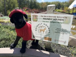 Sponsor Sign Mainely Hounds